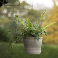 Hanging Aged Ribbed Planter -Herbalife Shop pr2000031414 card5 lg