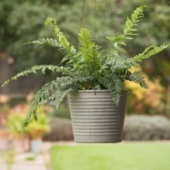 Hanging Aged Ribbed Planter -Herbalife Shop pr2000031414 card6 lg