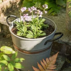 Planter With Copper Belt And Tray -Herbalife Shop pr2000031454 card3 lg