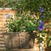 Rectangular Net Hanging Basket -Herbalife Shop pr2000031461