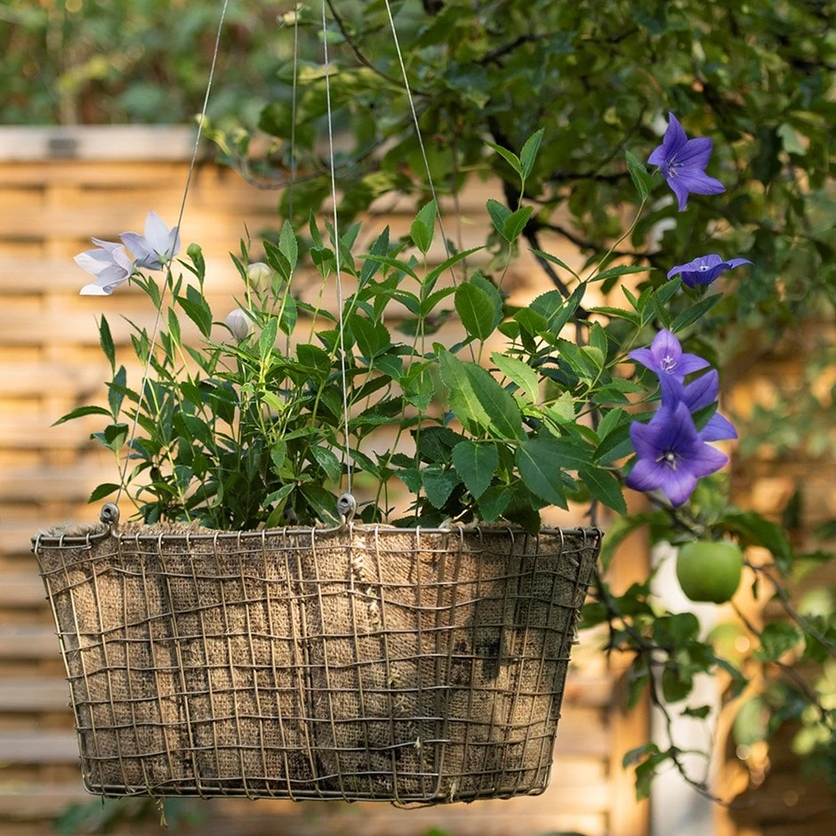 Rectangular Net Hanging Basket 3 Rectangular Net Hanging Basket