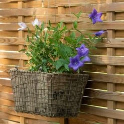 Rectangular Net Hanging Basket 15 Rectangular Net Hanging Basket -Herbalife Shop pr2000031461 card5 lg