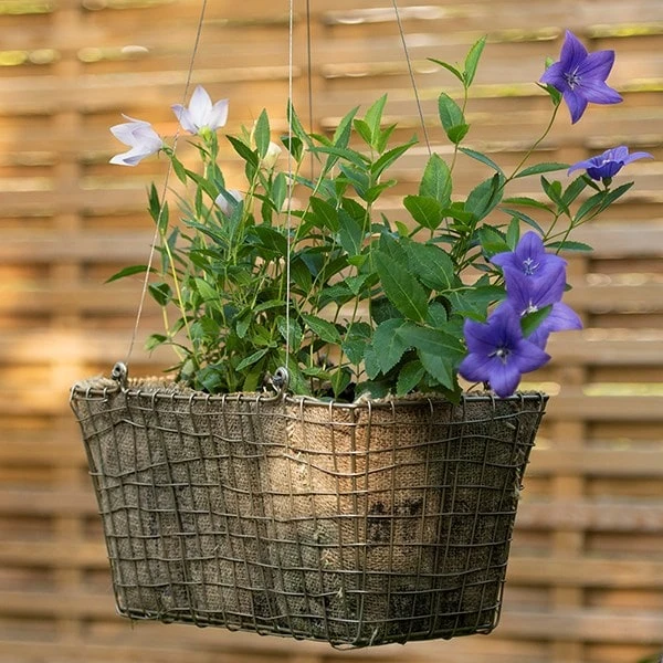 Rectangular Net Hanging Basket 11 Rectangular Net Hanging Basket - Image 9