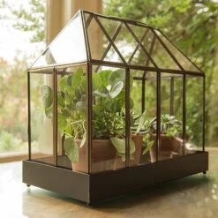 House Terrarium -Herbalife Shop pr2000031475 card2 lg