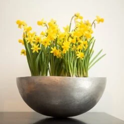 Sphere Plant Bowl -Herbalife Shop pr2000031495 card6 lg