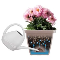 Barcelona All In One Trough Anthracite -Herbalife Shop pr2000032240 card3 lg