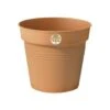 Basic Growpot Terracotta -Herbalife Shop pr2000032277
