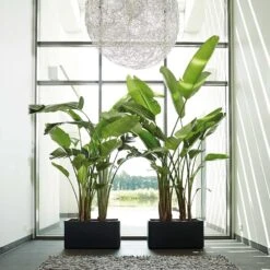 Pure Soft Brick Long Wheels Anthracite -Herbalife Shop pr2000032307 card2 lg