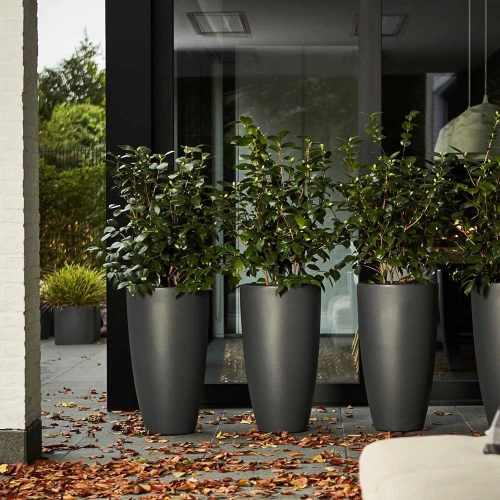 Pure Soft Round High Pot Anthracite 4 Pure Soft Round High Pot Anthracite - Image 2