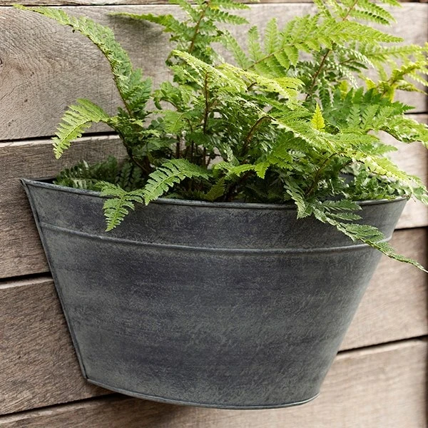 Wall Planter - Aged Zinc 4 Wall Planter - Aged Zinc - Image 2
