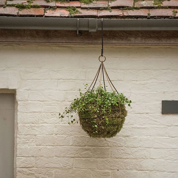 Hanging Tear Drop Basket - Wide 5 Hanging Tear Drop Basket - Wide - Image 3