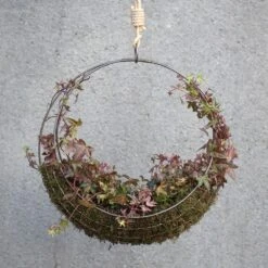 Hanging Wreath Basket 15 Hanging Wreath Basket -Herbalife Shop pr2000033995 card6 lg