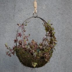 Hanging Wreath Basket 17 Hanging Wreath Basket -Herbalife Shop pr2000033995 card8 lg