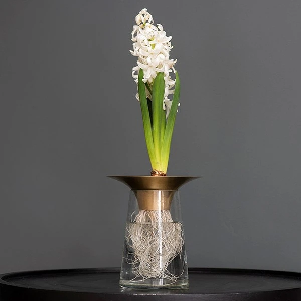 Brass Flute Hyacinth Vase 4 Brass Flute Hyacinth Vase - Image 2