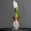 Brass Cone Hyacinth Vase -Herbalife Shop pr2000034055