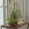 Terrarium With Brass Base Tray -Herbalife Shop pr2000034059