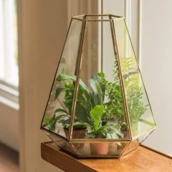 Terrarium With Brass Base Tray -Herbalife Shop pr2000034059 card2 lg