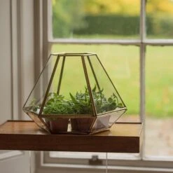 Terrarium With Brass Base Tray -Herbalife Shop pr2000034059 card3 lg