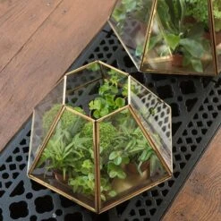 Terrarium With Brass Base Tray -Herbalife Shop pr2000034059 card7 lg