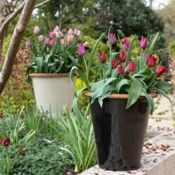 Glazed Terracotta Pot - Black -Herbalife Shop pr2000034127 card10 lg