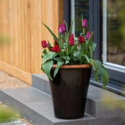 Glazed Terracotta Pot - Black -Herbalife Shop pr2000034127 card11 lg