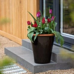 Glazed Terracotta Pot - Black -Herbalife Shop pr2000034127 card3 lg