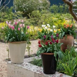 Glazed Terracotta Pot - Black -Herbalife Shop pr2000034127 card8 lg