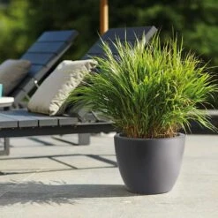 Pure Soft Round Pot With Wheels Anthracite -Herbalife Shop pr2000035201 card2 lg