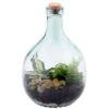 Plant Terrarium Bottle 5 Litre Set -Herbalife Shop pr2000035301