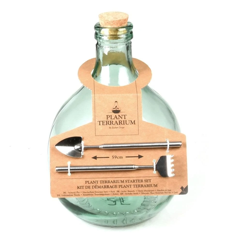 Plant Terrarium Bottle 5 Litre Set 4 Plant Terrarium Bottle 5 Litre Set - Image 2