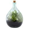 Plant Terrarium Bottle 15 Litre Set -Herbalife Shop pr2000035302