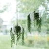 White Sphere Air Plant Hanging Planter
