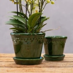 Scalloped Tapered Plant Pot With Saucer - Dark Green 7 Scalloped Tapered Plant Pot With Saucer - Dark Green -Herbalife Shop pr2000035578 card2 lg
