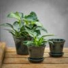 Scalloped Tapered Plant Pot With Saucer - Dark Blue -Herbalife Shop pr2000035580