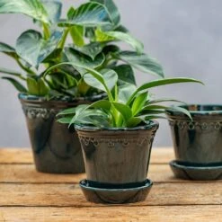 Scalloped Tapered Plant Pot With Saucer - Dark Blue -Herbalife Shop pr2000035580 card2 lg