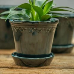 Scalloped Tapered Plant Pot With Saucer - Dark Blue -Herbalife Shop pr2000035580 card3 lg