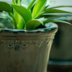 Scalloped Tapered Plant Pot With Saucer - Dark Blue -Herbalife Shop pr2000035580 card4 lg