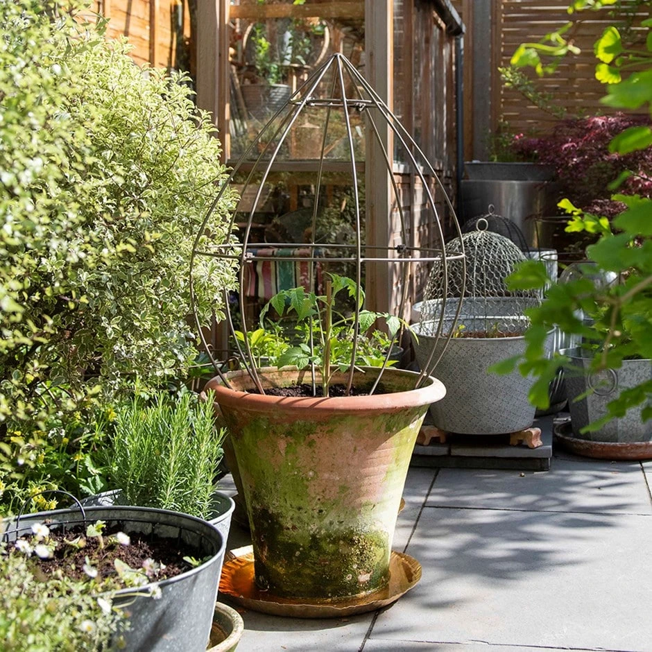 Terracotta Arc Pot & Tear Drop Plant Support 3 Terracotta Arc Pot & Tear Drop Plant Support