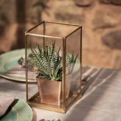 Simple Terrarium / Tealight Holder With Tray Base -Herbalife Shop pr2000037497 card4 lg