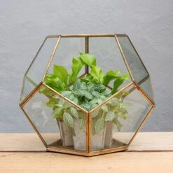 Pentagon Terrarium With Tray Base -Herbalife Shop pr2000037499 card4 lg