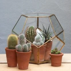 Pentagon Terrarium With Tray Base -Herbalife Shop pr2000037499 card5 lg