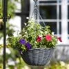 Slate Faux Rattan Hanging Basket -Herbalife Shop pr2000037974
