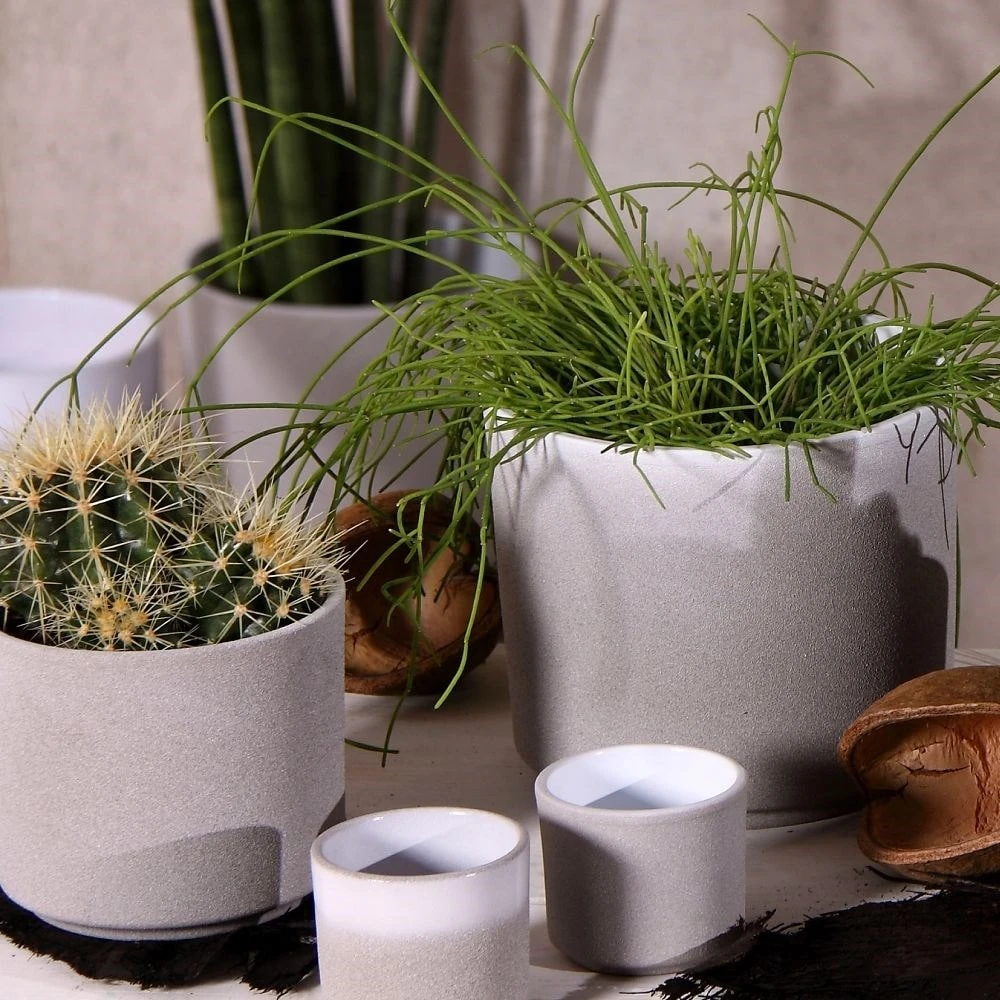 Cement Style Plant Pot - Light Grey 4 Cement Style Plant Pot - Light Grey - Image 2
