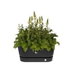 Greenville Terrace Trough On Wheels Black -Herbalife Shop pr2000038222 card2 lg