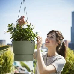 Greenville Hanging Basket Green -Herbalife Shop pr2000038231 card4 lg