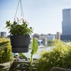 Greenville Hanging Basket Black 8 Greenville Hanging Basket Black -Herbalife Shop pr2000038232 card3 lg