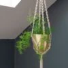 Macrame Hanger With Brushed Brass Pot -Herbalife Shop pr2000038571