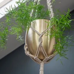 Macrame Hanger With Brushed Brass Pot -Herbalife Shop pr2000038571 card3 lg