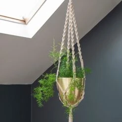 Macrame Hanger With Brushed Brass Pot -Herbalife Shop pr2000038571 card4 lg