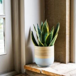 Bamboo Grey Planter